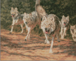 (image for) Leader of the Pack